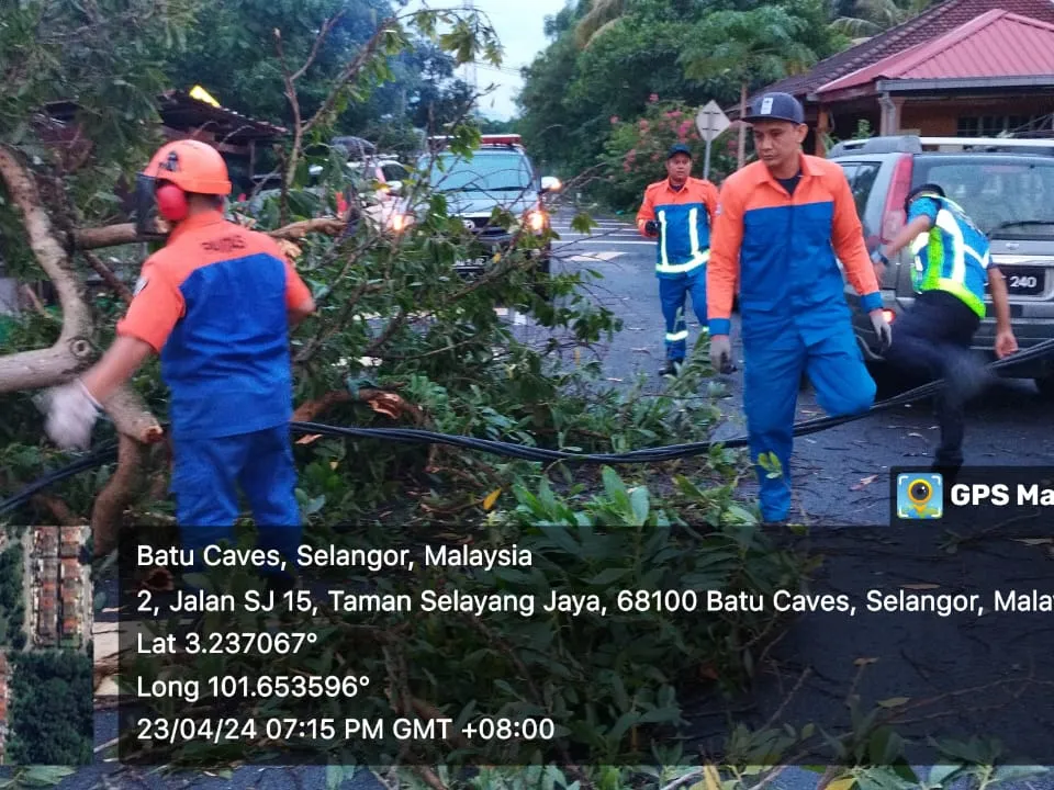 OPERASI ADUAN POKOK TUMBANG